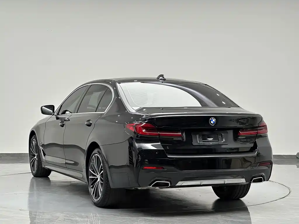 BMW 5 Series — миниатюра 6