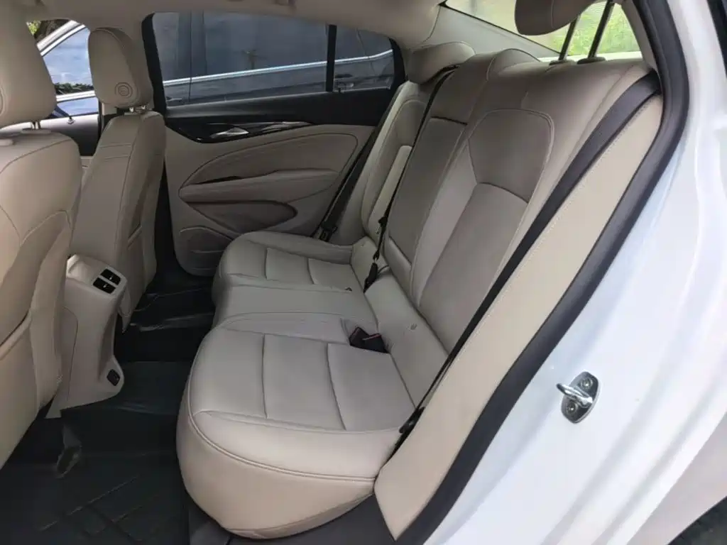 Buick Regal — миниатюра 17