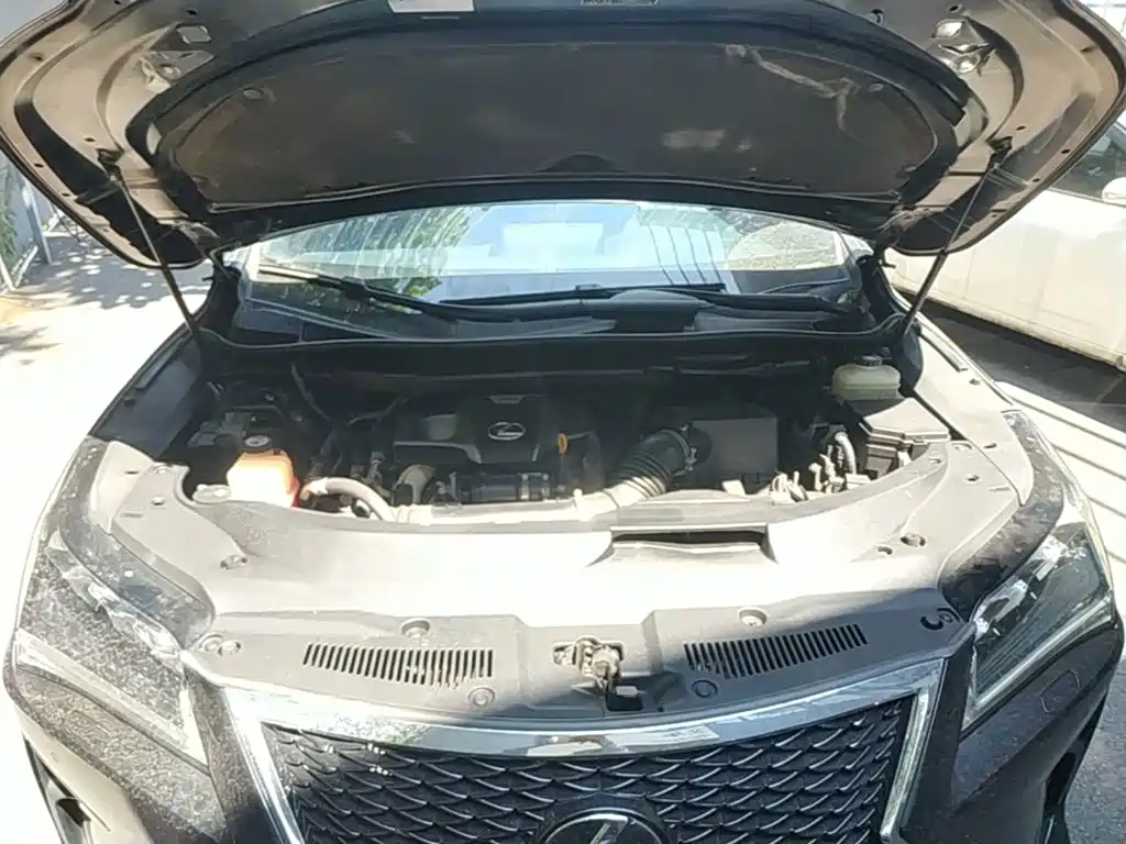 Lexus RX — миниатюра 20