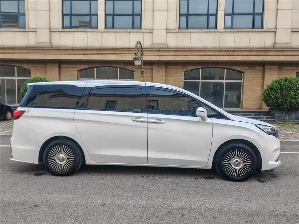 Buick GL8 — миниатюра 7