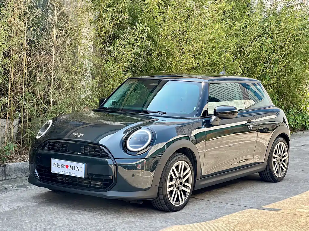 Mini Mini 2025