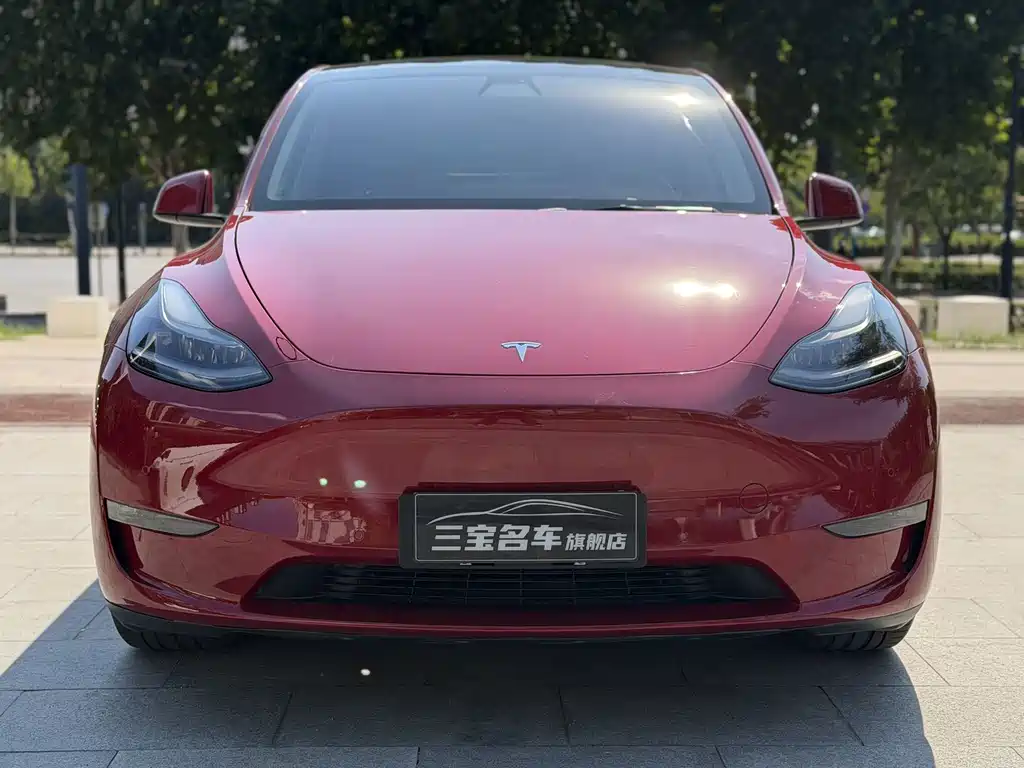 Tesla Model Y — миниатюра 2