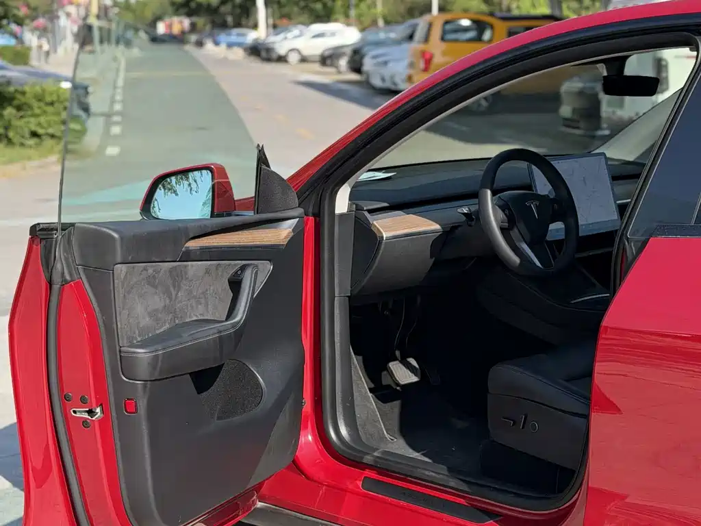 Tesla Model Y — миниатюра 14