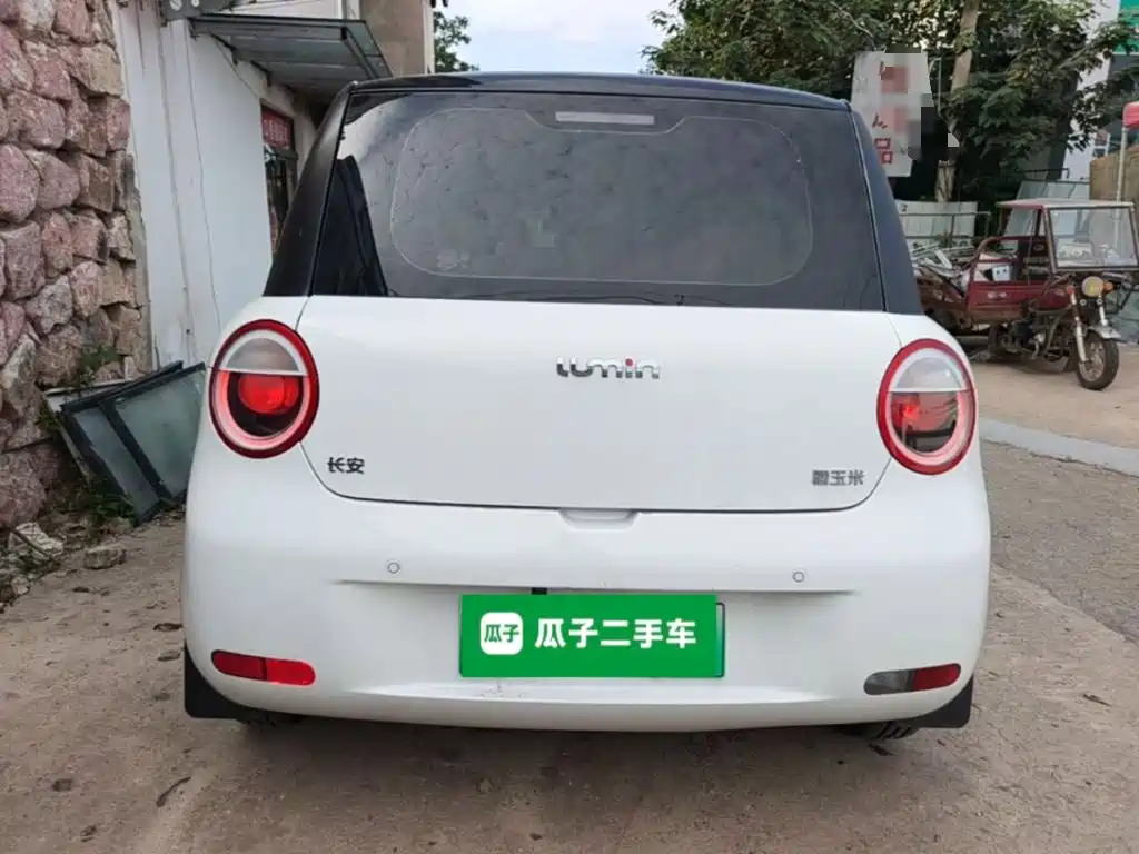 Qiyuan Lumin — миниатюра 6