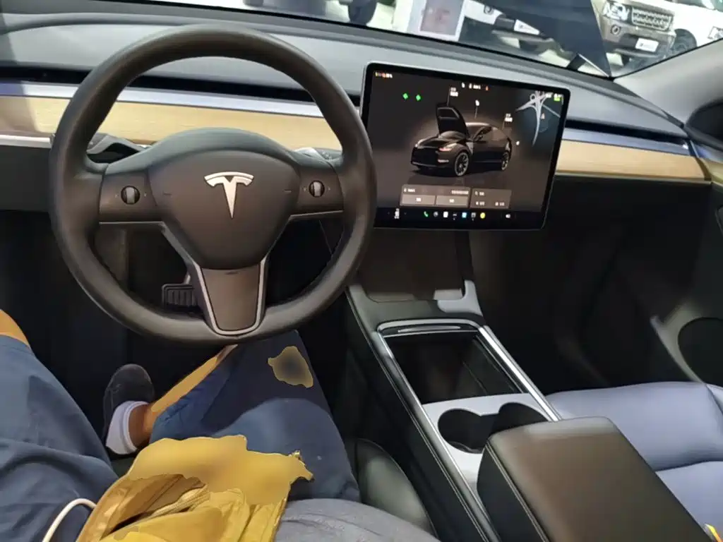 Tesla Model Y — миниатюра 10