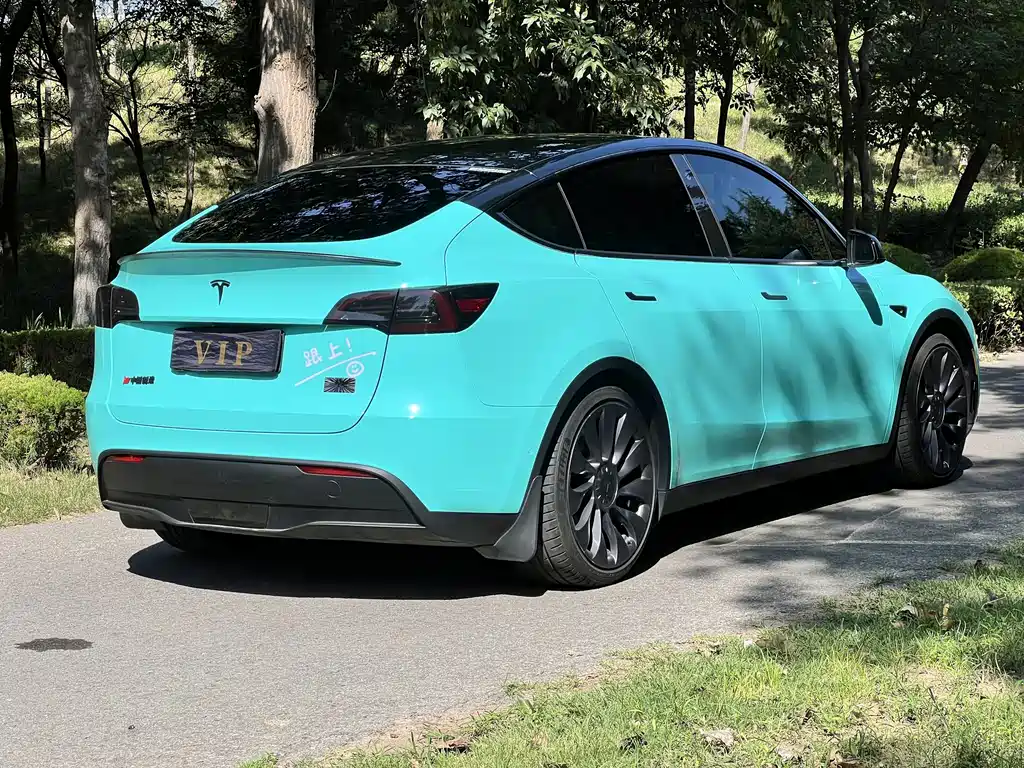 Tesla Model Y — миниатюра 6