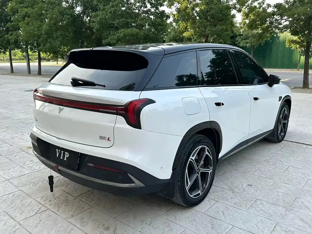 Neta L 2024 310