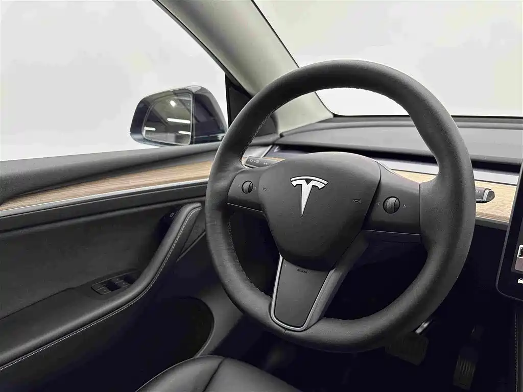 Tesla Model Y — миниатюра 10