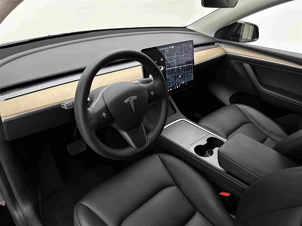 Tesla Model Y — миниатюра 16
