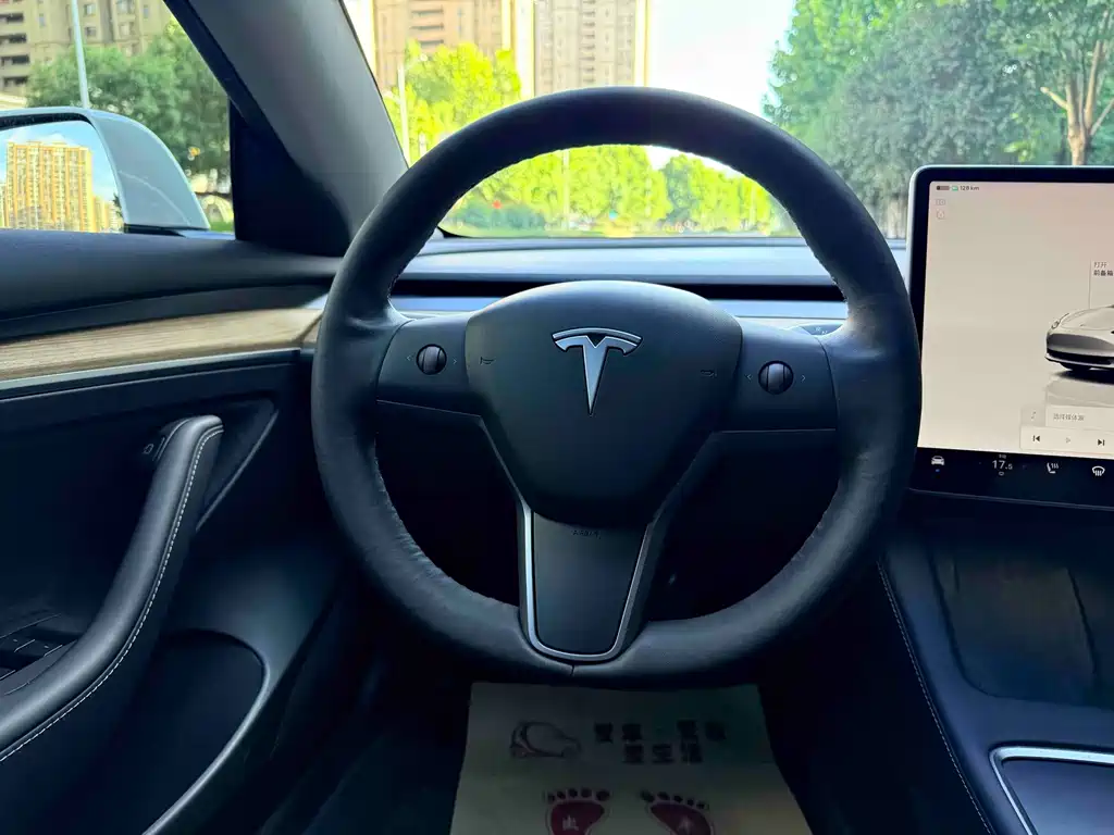 Tesla Model 3 — миниатюра 14