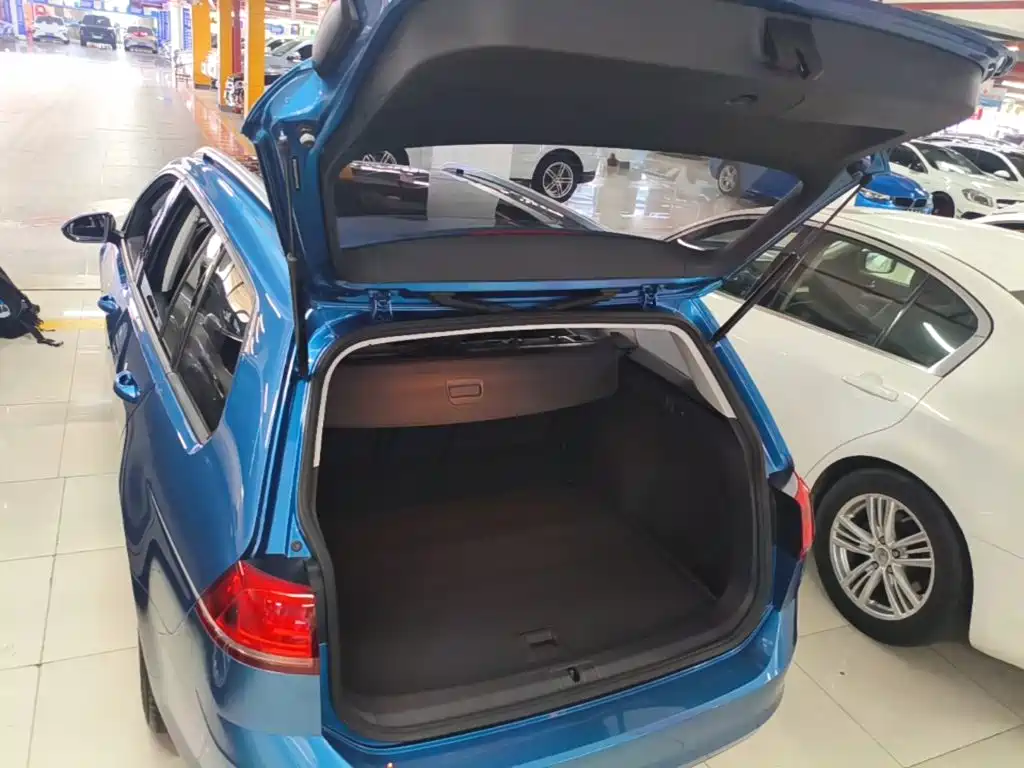 Volkswagen Golf (Import) — миниатюра 19