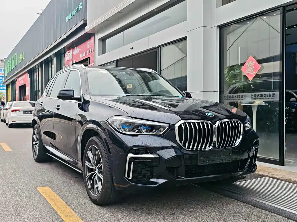 BMW X5 — миниатюра 2