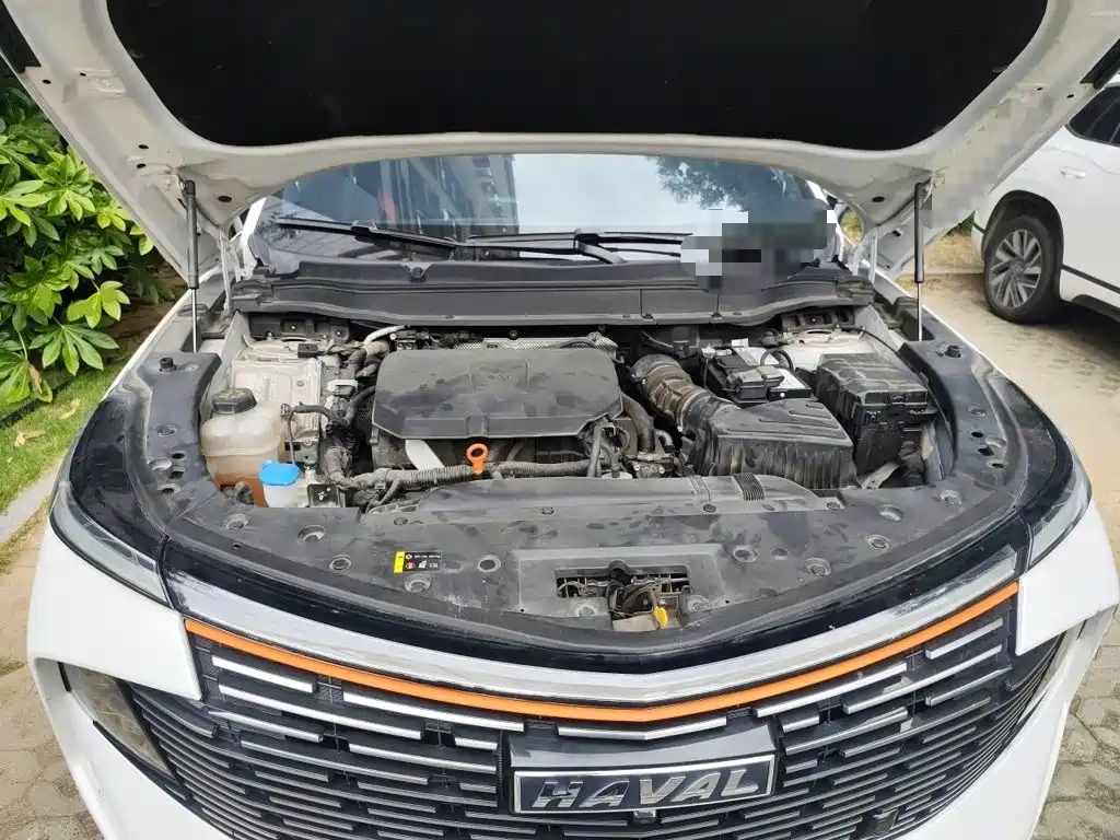 Haval Shenshou — миниатюра 21