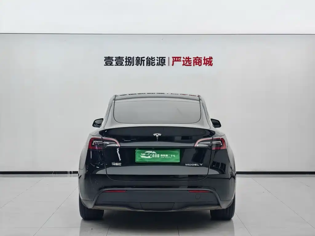 Tesla Model Y — миниатюра 9