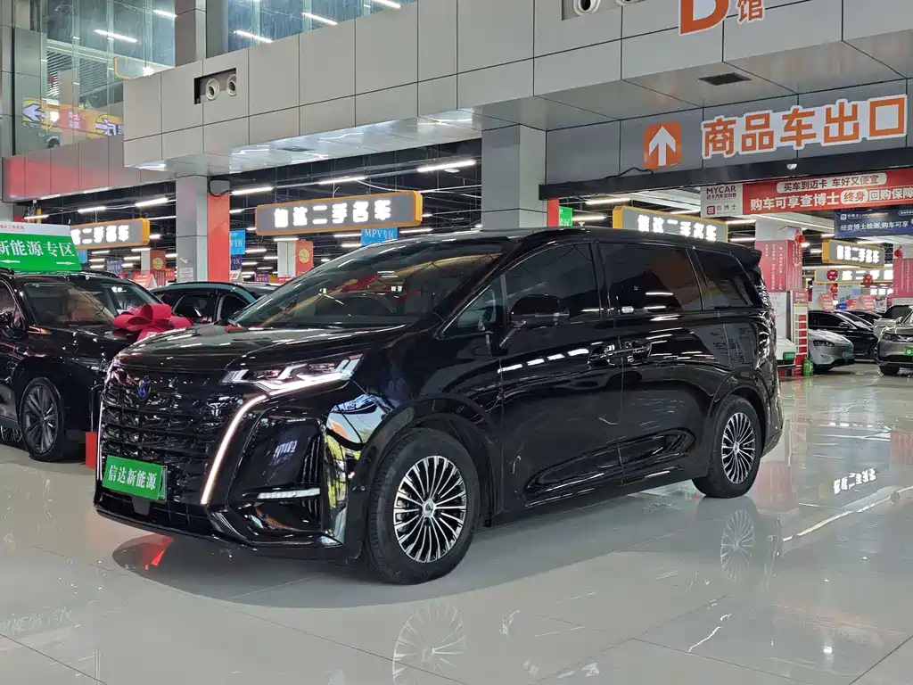 Denza Denza D9