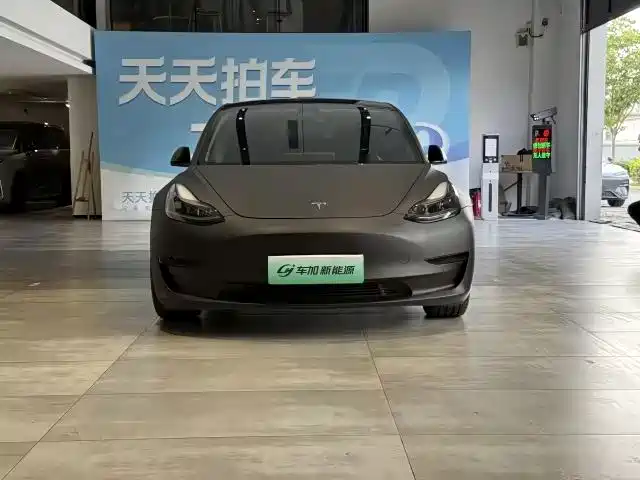 Tesla Model 3 — миниатюра 2