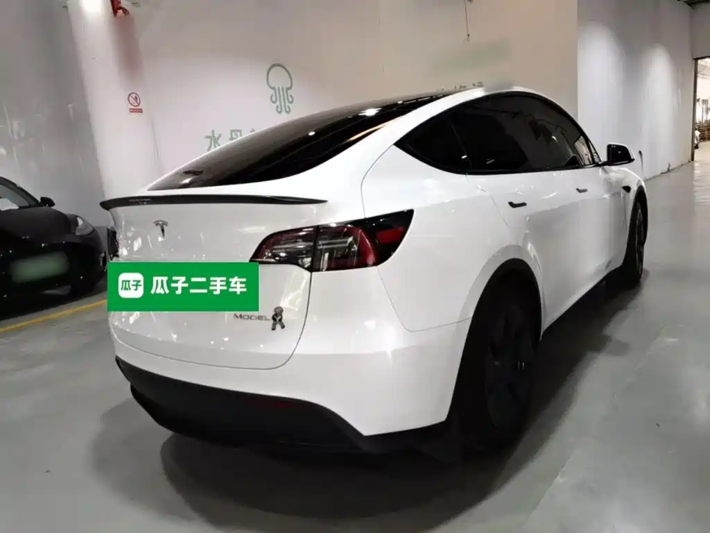 Tesla Model Y — миниатюра 7
