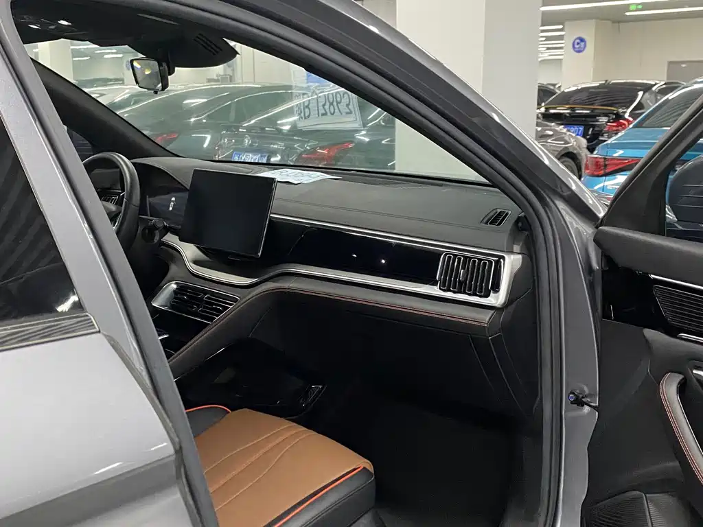 BYD PLUS — миниатюра 9