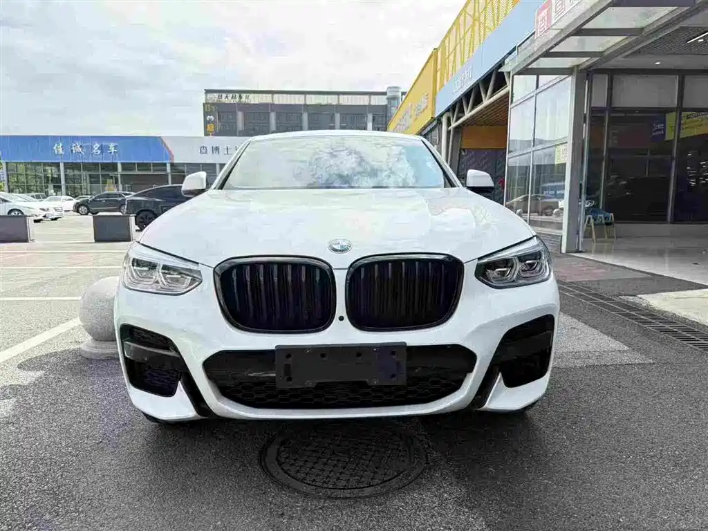 BMW X4 — миниатюра 2