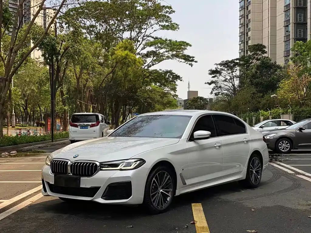 BMW 5 Series 2021