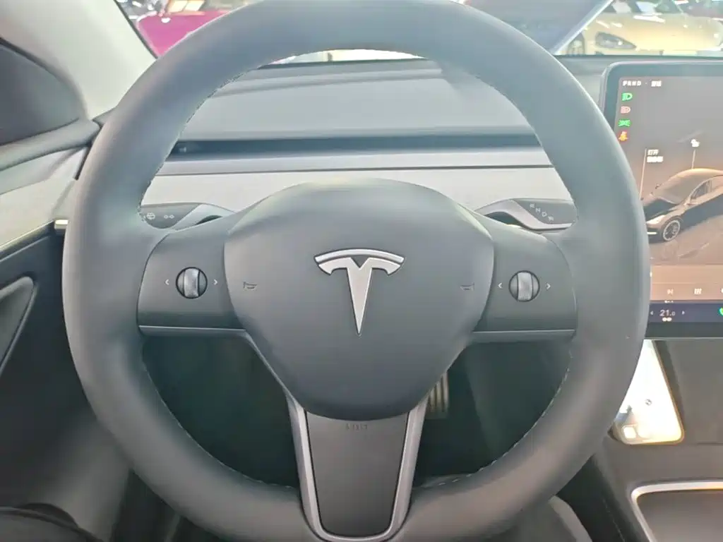 Tesla Model Y — миниатюра 11