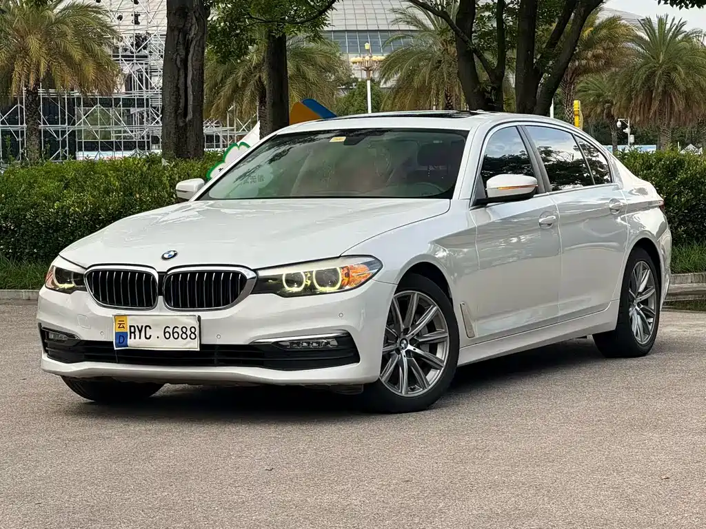 BMW 5 Series 5 2018 528Li