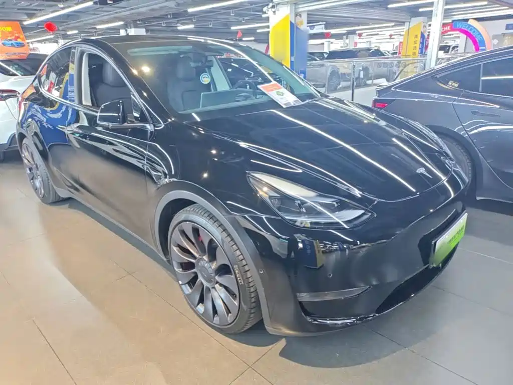Tesla Model Y — миниатюра 4