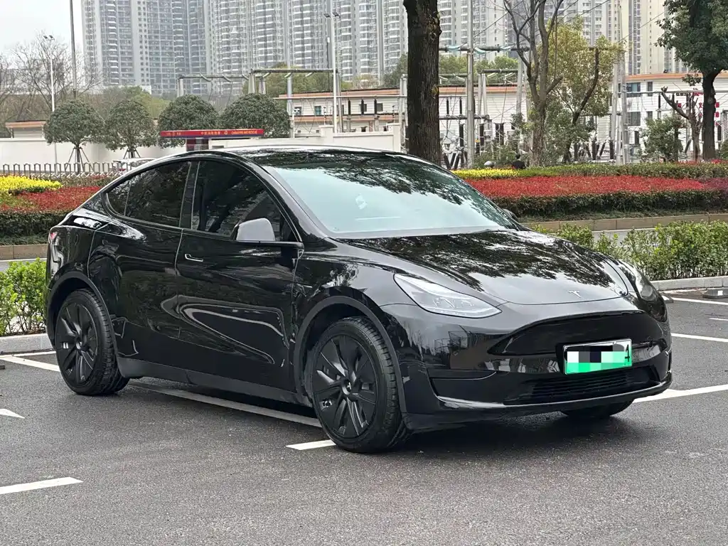 Tesla Model Y — миниатюра 3