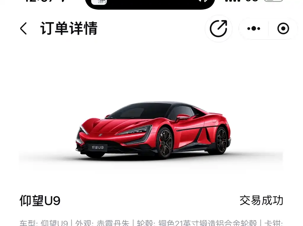 Yangwang Yangwang U9 — миниатюра 9