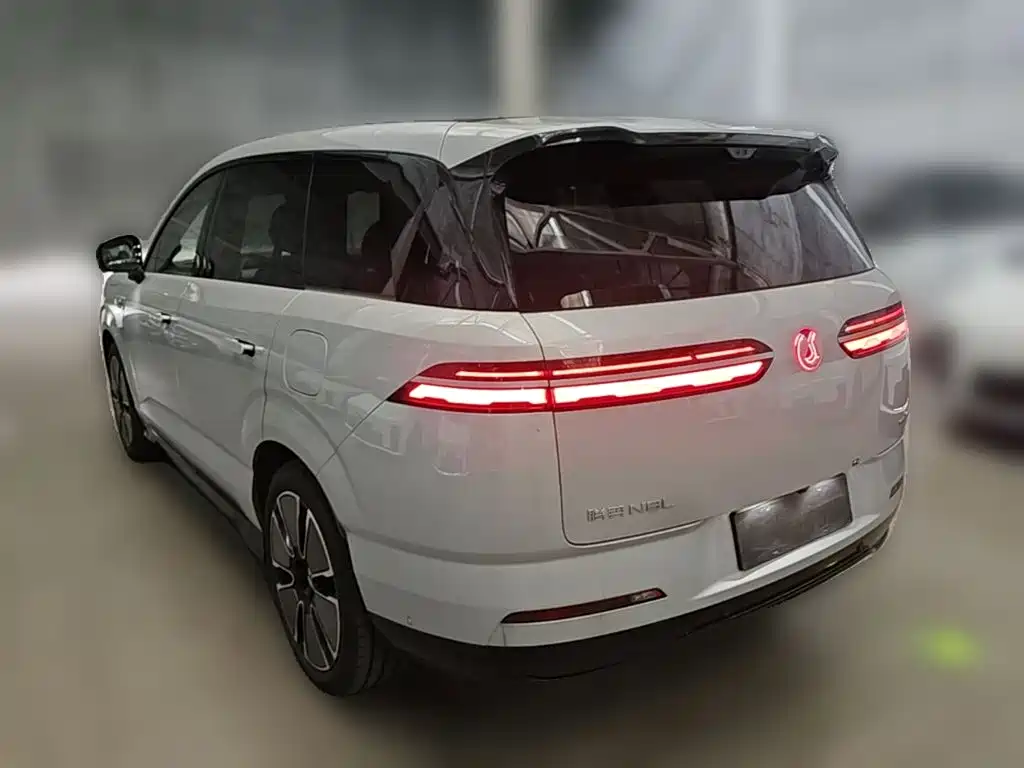 Denza Zoom N8L — миниатюра 9