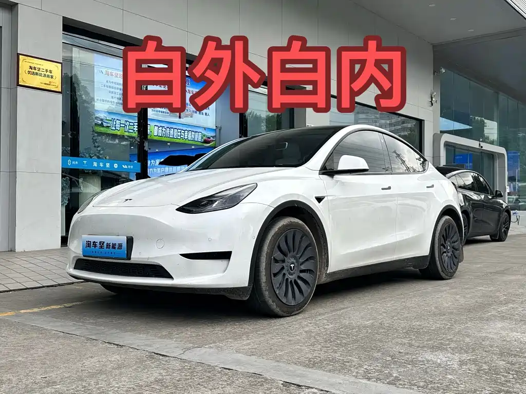 Tesla Model Y — миниатюра 5