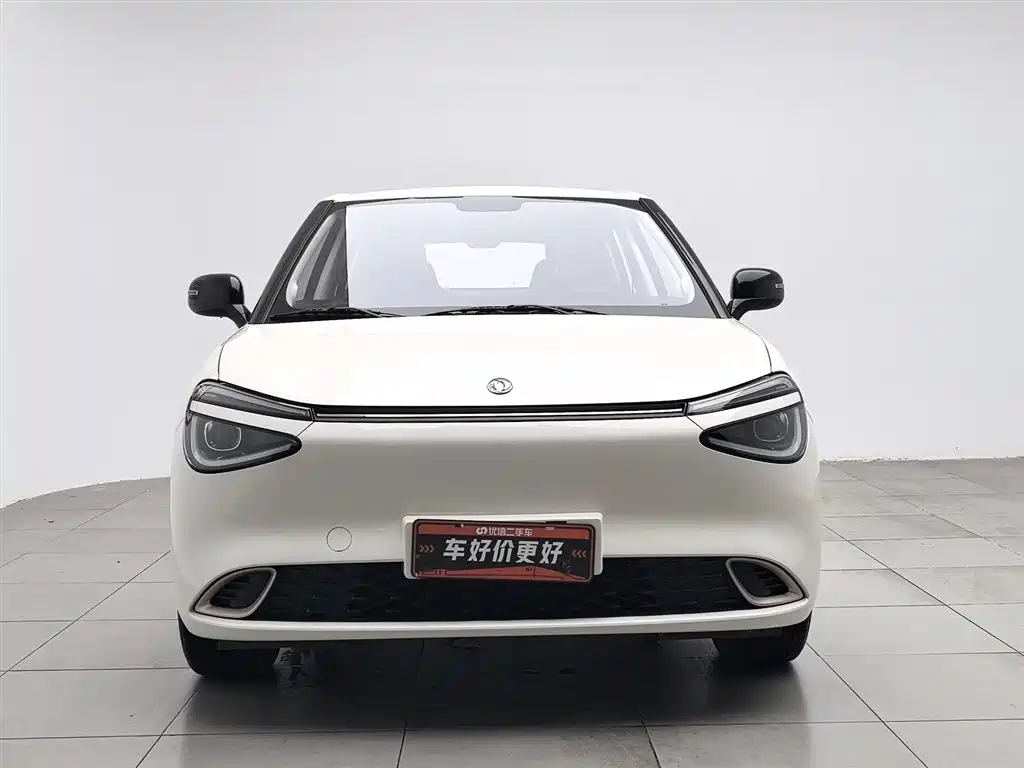 Dongfeng 01 2024 330 Air
