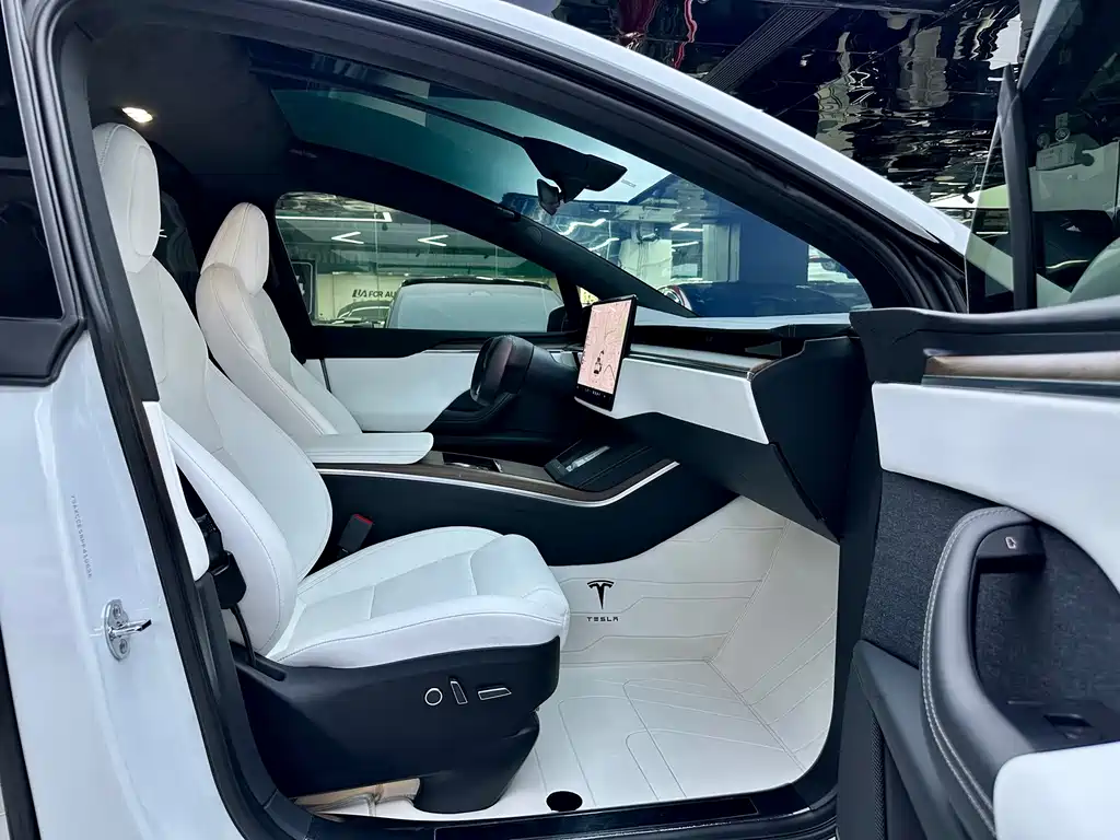 Tesla Model X — миниатюра 11