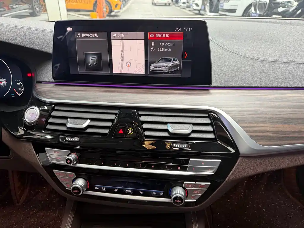 BMW 5 Series New Energy 530Le Luxury Package, фото 10
