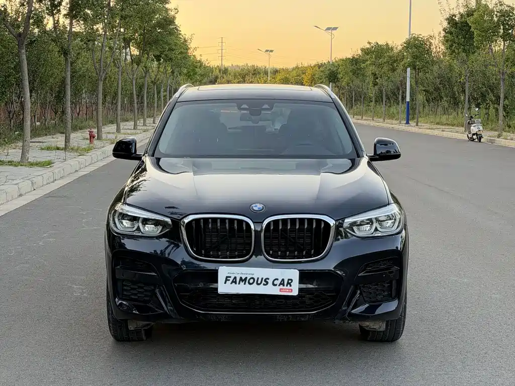 BMW X3 — миниатюра 3