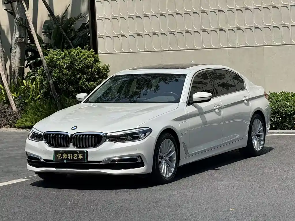 BMW 5 Series New Energy 2020