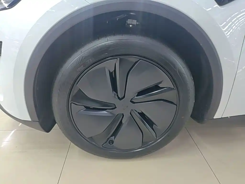 Tesla Model Y — миниатюра 23