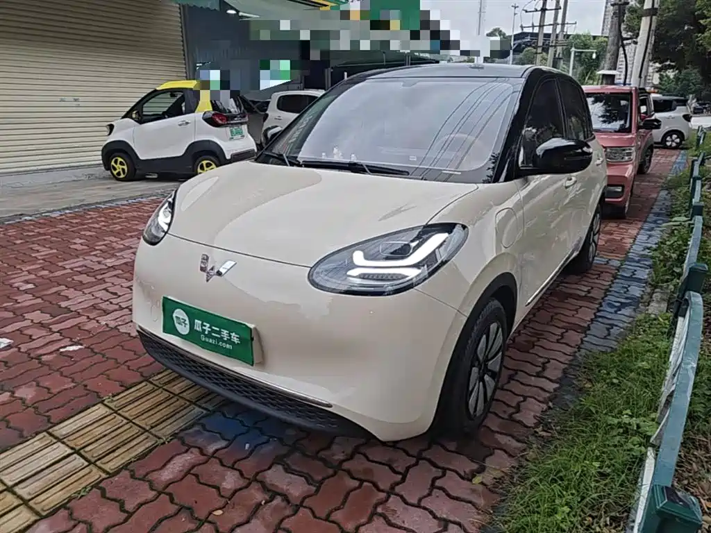 Wuling Binguo 2025 333km Delight