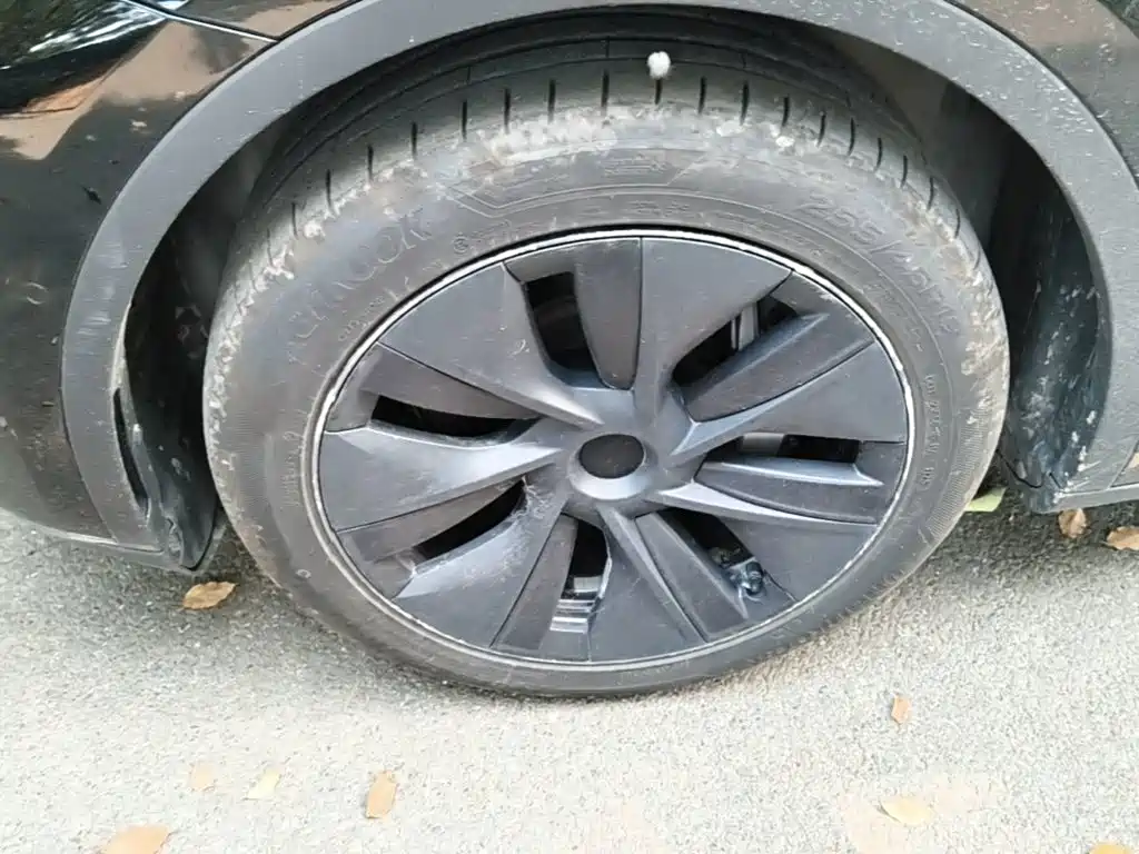 Tesla Model Y — миниатюра 23