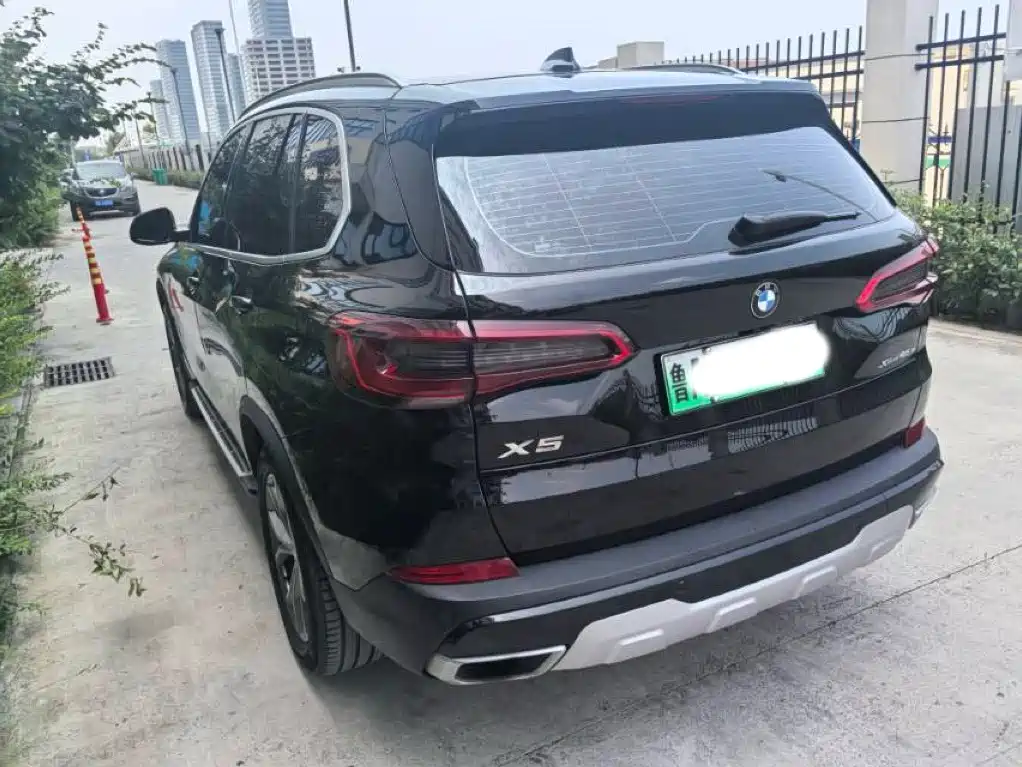 BMW X5 New Energy (Import) — миниатюра 7