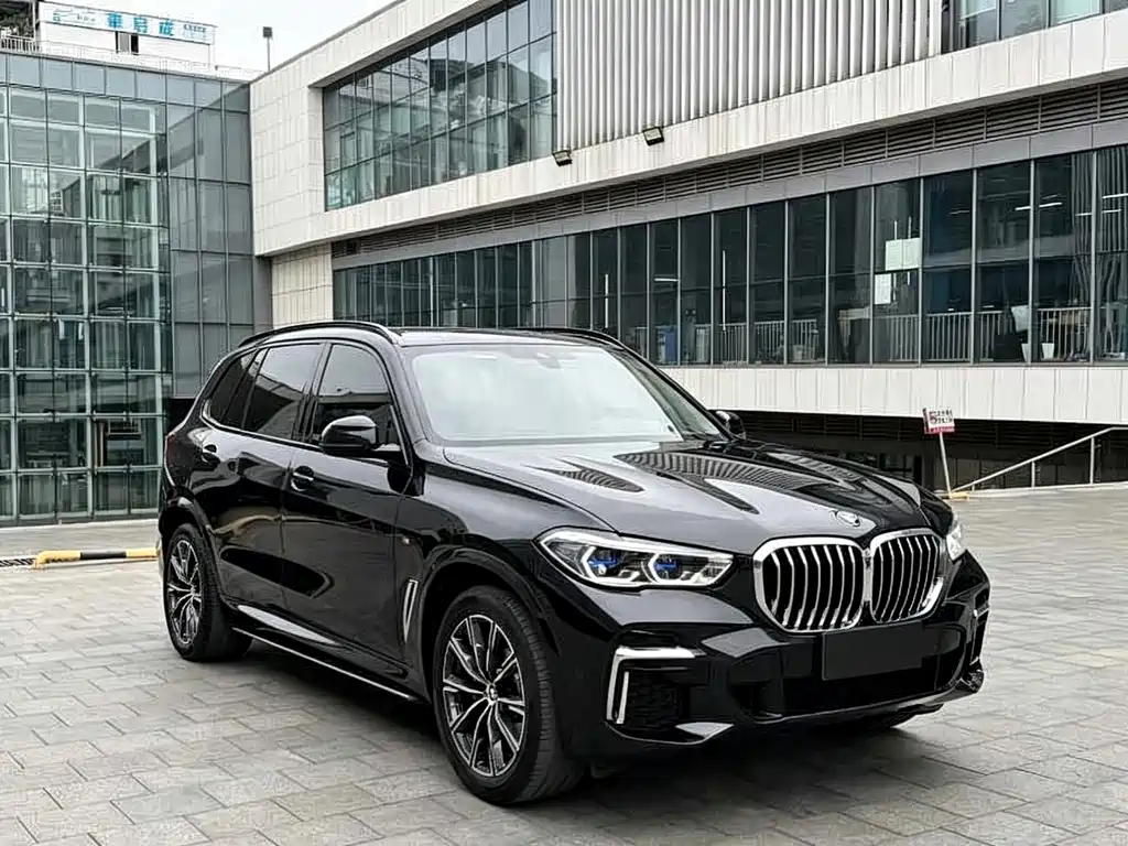 BMW X5 — миниатюра 2