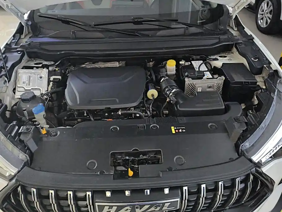 Haval Chitu — миниатюра 10