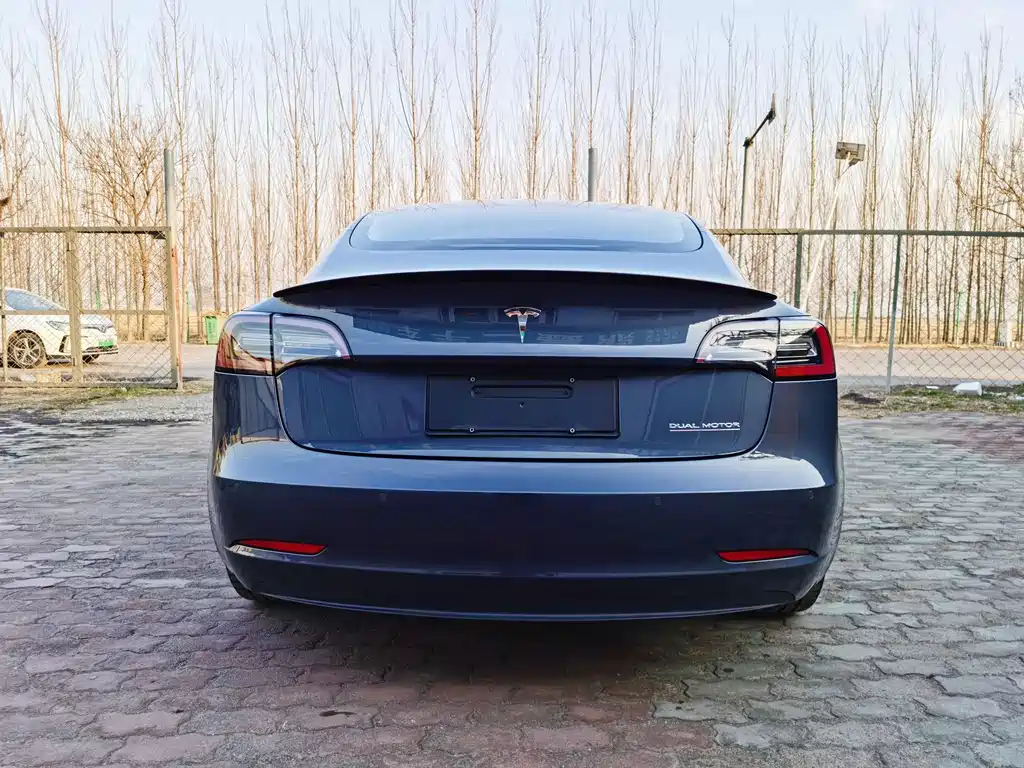 Tesla Model 3 2019 Performance