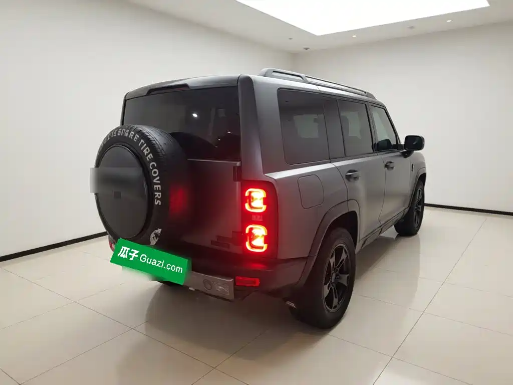 Haval Menglong New Energy — миниатюра 6
