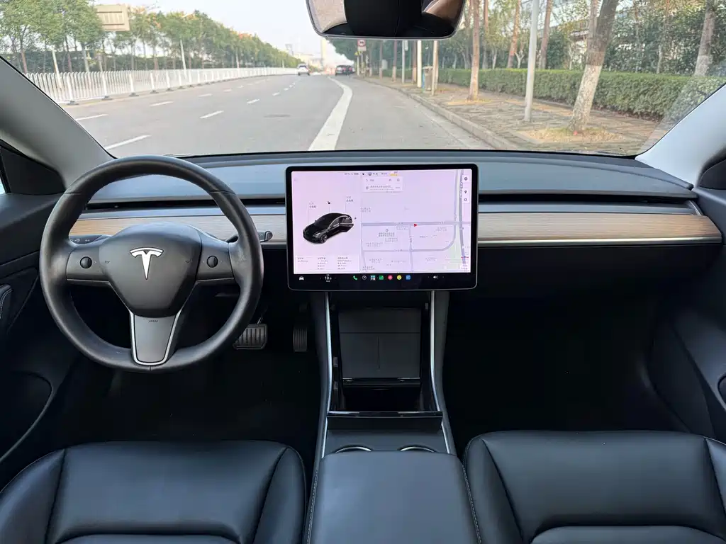 Tesla Model 3 — миниатюра 6