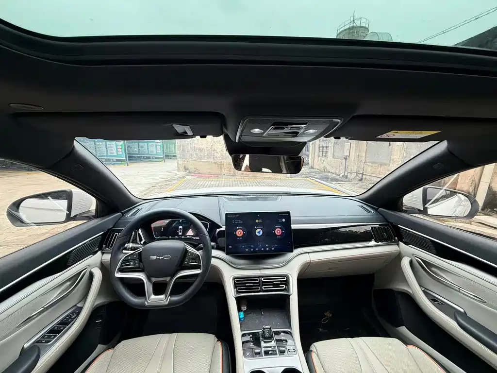 BYD PLUS New Energy — миниатюра 5