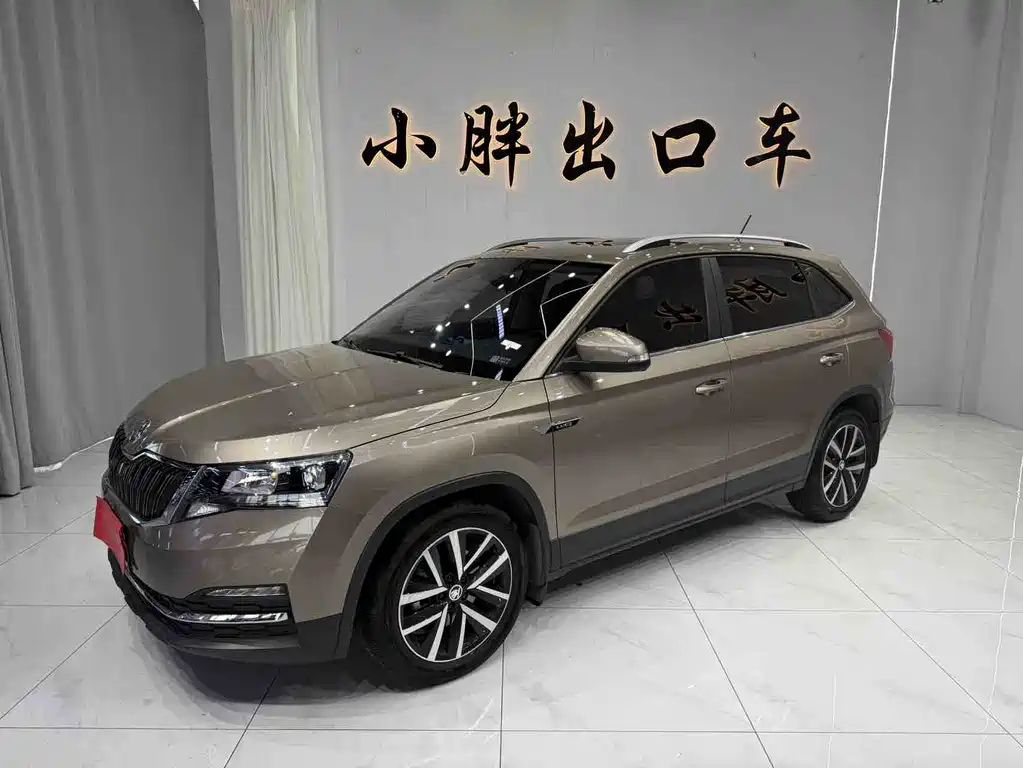 Купить Skoda Kamiq
