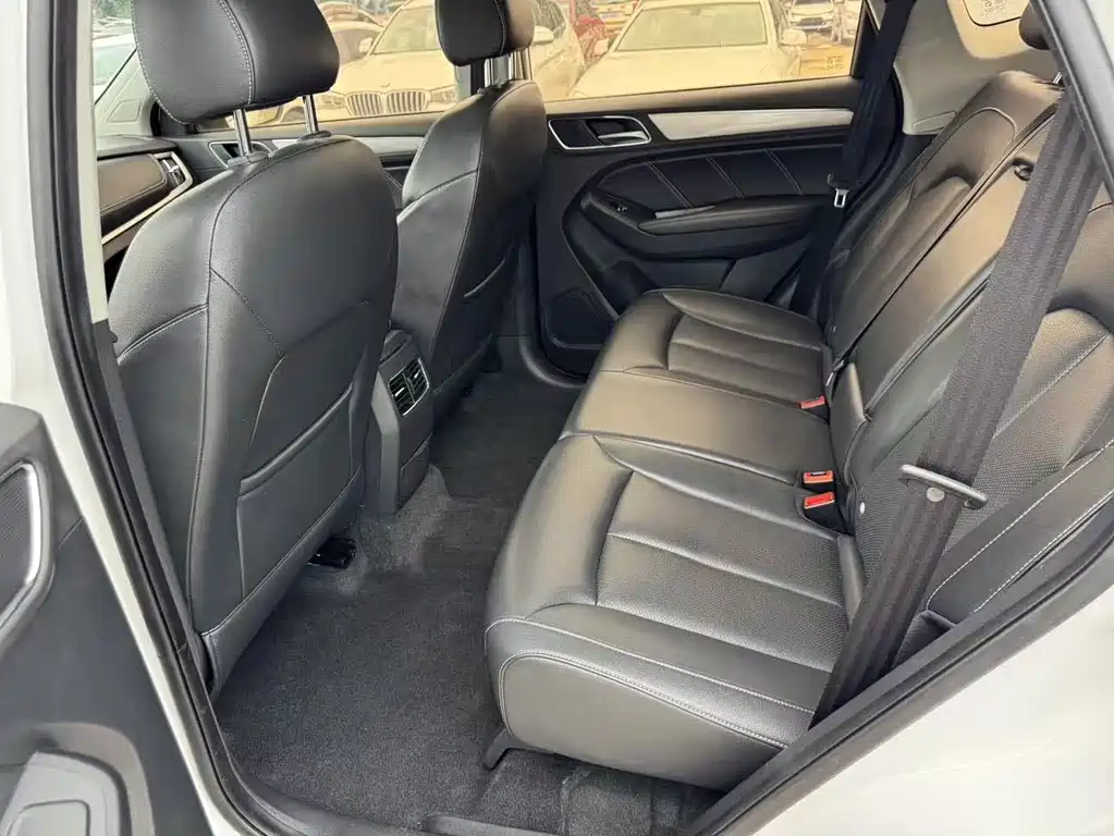 Roewe RX5 2018 20T AT Luxury