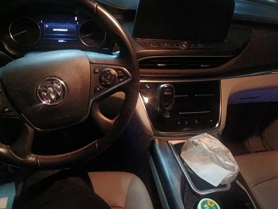 Buick GL8 — миниатюра 12