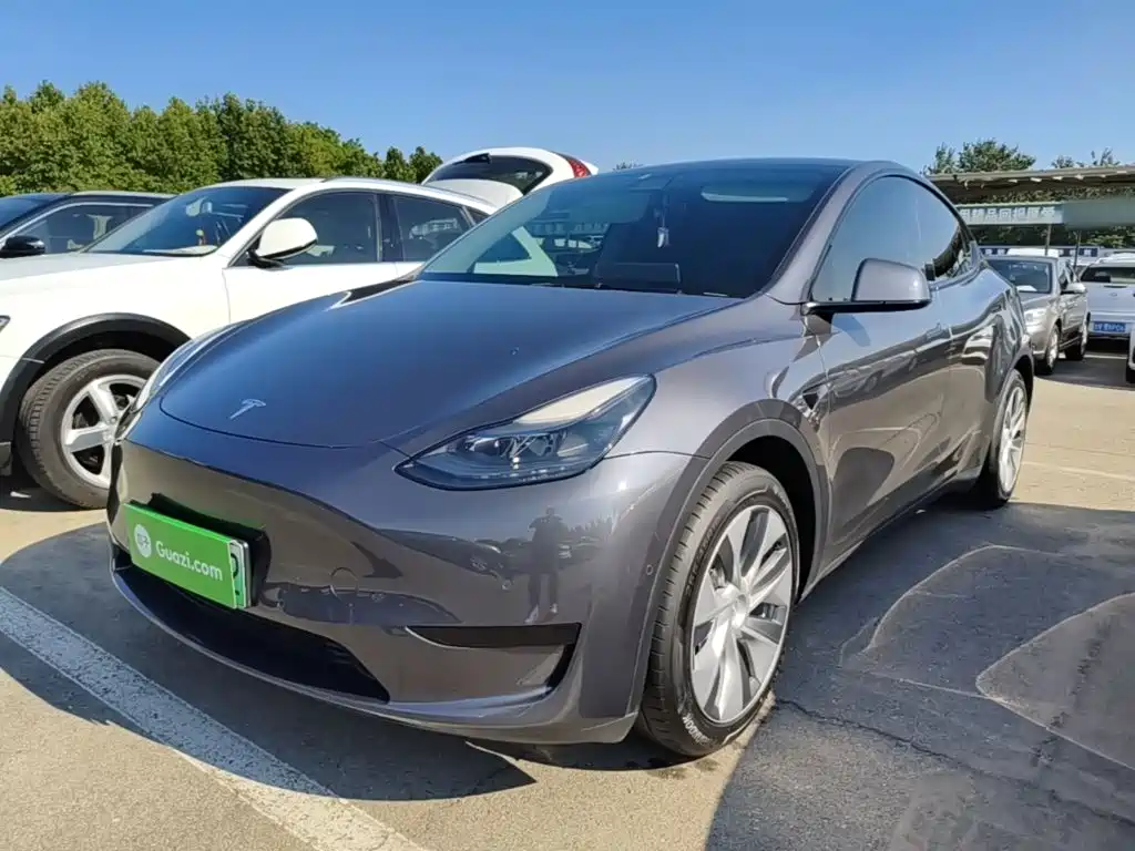 Tesla Model Y — миниатюра 2